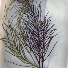 Load image into Gallery viewer, Gorgonia Frilly Purple Large - Pseudopterogorgia
